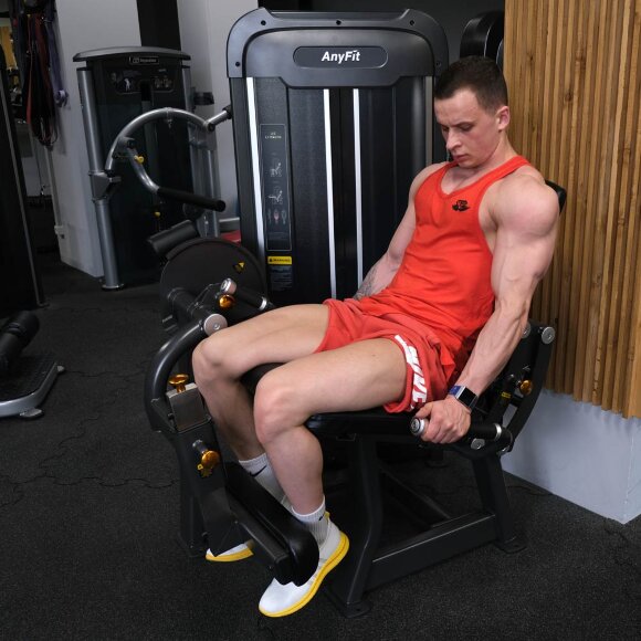 Разгибание ног AnyFit PE201-123 Разгибание ног AnyFit PE201-123