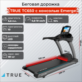 Беговая дорожка TRUE TC650 c консолью Emerge Беговая дорожка TRUE TC650 c консолью Emerge